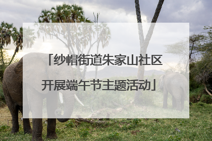 纱帽街道朱家山社区开展端午节主题活动
