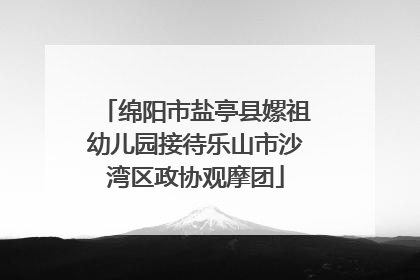绵阳市盐亭县嫘祖幼儿园接待乐山市沙湾区政协观摩团