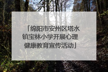 绵阳市安州区塔水镇宝林小学开展心理健康教育宣传活动