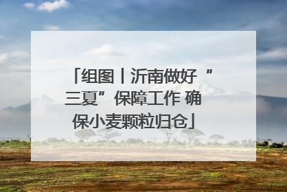 组图丨沂南做好“三夏”保障工作 确保小麦颗粒归仓