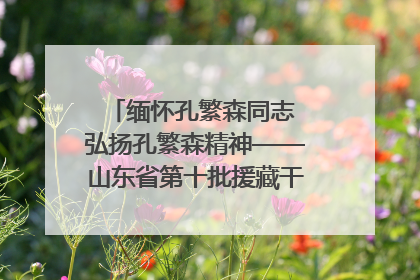 缅怀孔繁森同志 弘扬孔繁森精神——山东省第十批援藏干部人才清明节前到岗巴县开展党性教育