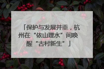 保护与发展并重，杭州在“依山理水”间唤醒“古村新生”