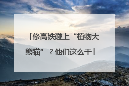 修高铁碰上“植物大熊猫”？他们这么干