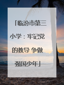 临汾市第三小学：牢记党的教导 争做强国少年
