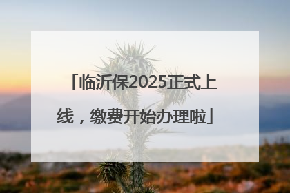 临沂保2025正式上线，缴费开始办理啦