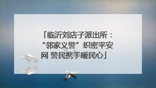临沂刘店子派出所：“邻家义警”织密平安网 警民携手暖民心