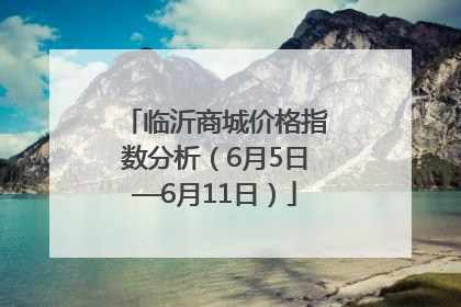 临沂商城价格指数分析（6月5日—6月11日）