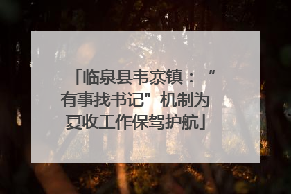 临泉县韦寨镇：“有事找书记”机制为夏收工作保驾护航