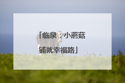 临泉：小蘑菇铺就幸福路