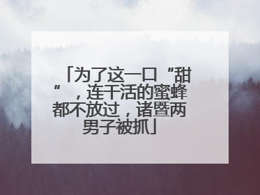 为了这一口“甜”，连干活的蜜蜂都不放过，诸暨两男子被抓