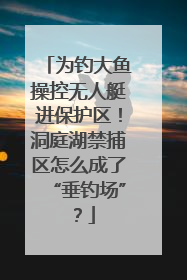 为钓大鱼操控无人艇进保护区！洞庭湖禁捕区怎么成了“垂钓场”？
