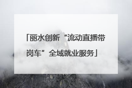 丽水创新“流动直播带岗车”全域就业服务