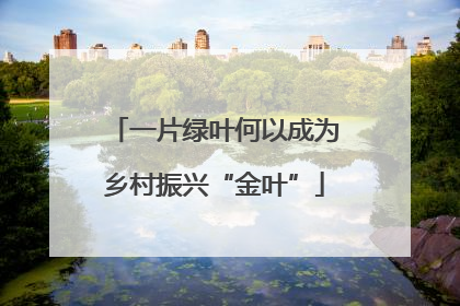 一片绿叶何以成为乡村振兴“金叶”