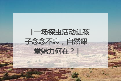 一场探虫活动让孩子念念不忘，自然课堂魅力何在？
