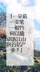 一朵菇 一支笔 一根竹 何以撬动浙江山区百亿产业？