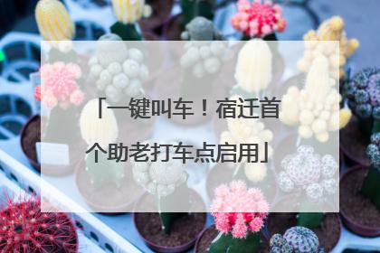 一键叫车！宿迁首个助老打车点启用