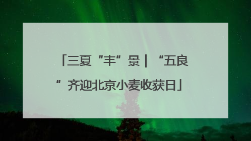 三夏“丰”景｜“五良”齐迎北京小麦收获日