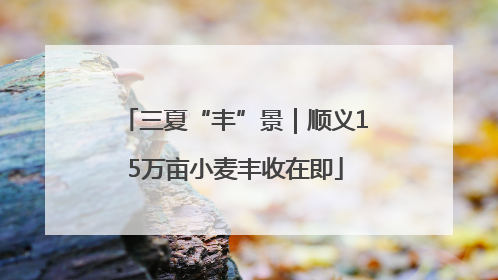 三夏“丰”景｜顺义15万亩小麦丰收在即