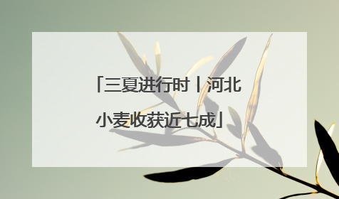 三夏进行时丨河北小麦收获近七成