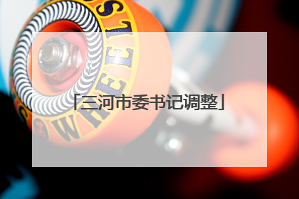 三河市委书记调整