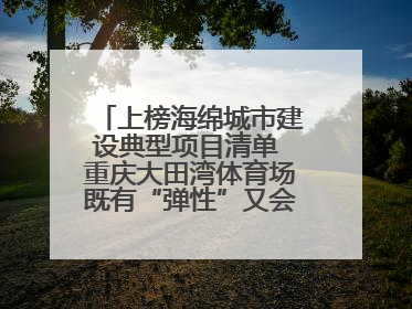 上榜海绵城市建设典型项目清单 重庆大田湾体育场既有“弹性”又会“呼吸”