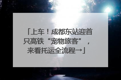 上车！成都东站迎首只高铁“宠物旅客”，来看托运全流程→