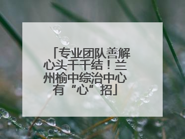 专业团队善解心头千千结！兰州榆中综治中心有“心”招