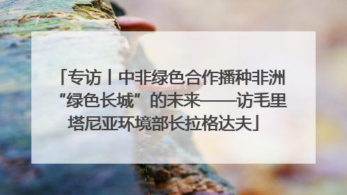 专访丨中非绿色合作播种非洲“绿色长城”的未来——访毛里塔尼亚环境部长拉格达夫