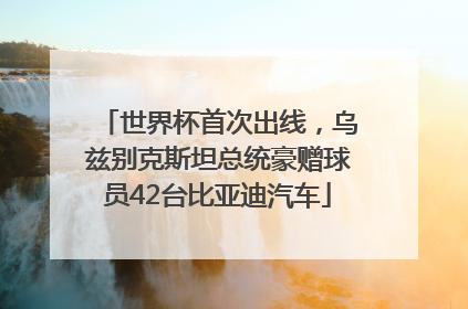 世界杯首次出线，乌兹别克斯坦总统豪赠球员42台比亚迪汽车