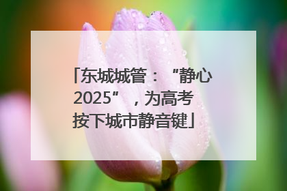 东城城管：“静心2025”，为高考按下城市静音键