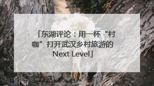 东湖评论：用一杯“村咖”打开武汉乡村旅游的Next Level