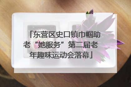 东营区史口镇巾帼助老“她服务”第二届老年趣味运动会落幕