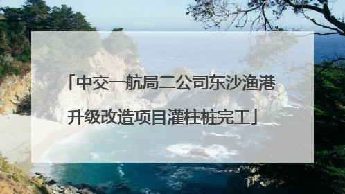 中交一航局二公司东沙渔港升级改造项目灌柱桩完工