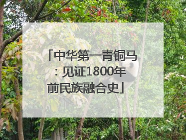 中华第一青铜马：见证1800年前民族融合史