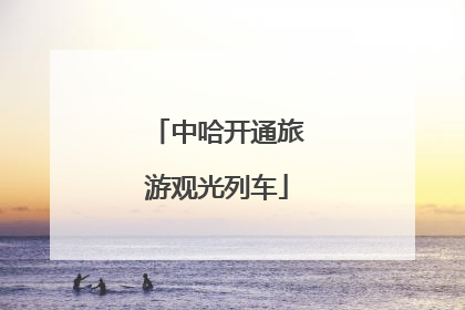 中哈开通旅游观光列车