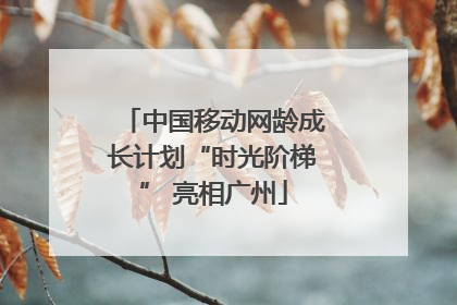 中国移动网龄成长计划“时光阶梯” 亮相广州