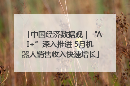 中国经济数据观｜“AI+”深入推进 5月机器人销售收入快速增长