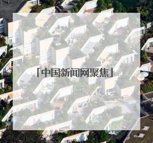 中国新闻网聚焦