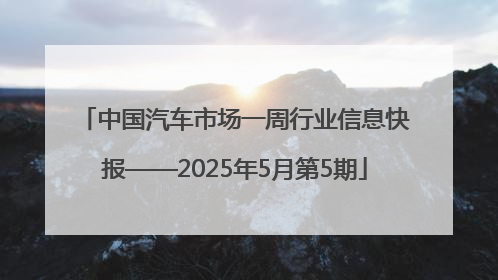 中国汽车市场一周行业信息快报——2025年5月第5期
