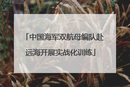 中国海军双航母编队赴远海开展实战化训练