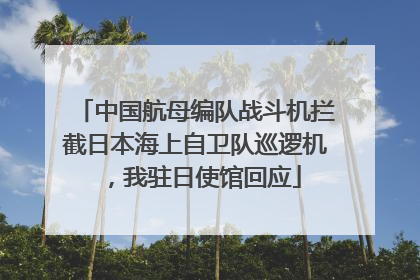 中国航母编队战斗机拦截日本海上自卫队巡逻机，我驻日使馆回应
