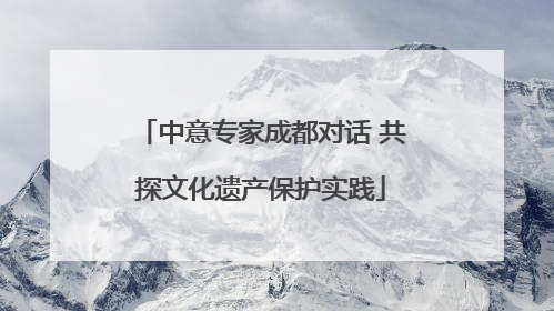 中意专家成都对话 共探文化遗产保护实践