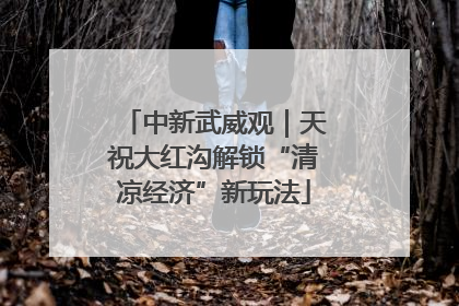 中新武威观｜天祝大红沟解锁“清凉经济”新玩法