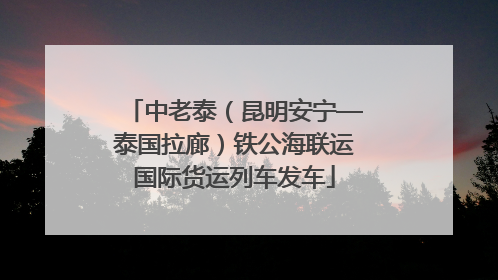 中老泰（昆明安宁—泰国拉廊）铁公海联运国际货运列车发车