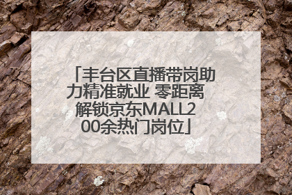 丰台区直播带岗助力精准就业 零距离解锁京东MALL200余热门岗位