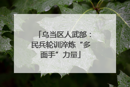 乌当区人武部：民兵轮训淬炼“多面手”力量