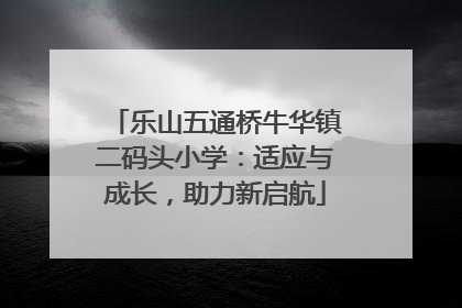 乐山五通桥牛华镇二码头小学：适应与成长，助力新启航