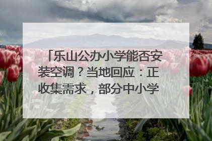乐山公办小学能否安装空调？当地回应：正收集需求，部分中小学已启动安装｜云求助