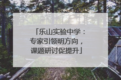 乐山实验中学：专家引领明方向，课题研讨促提升