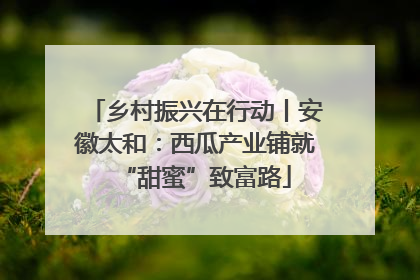 乡村振兴在行动丨安徽太和：西瓜产业铺就“甜蜜”致富路